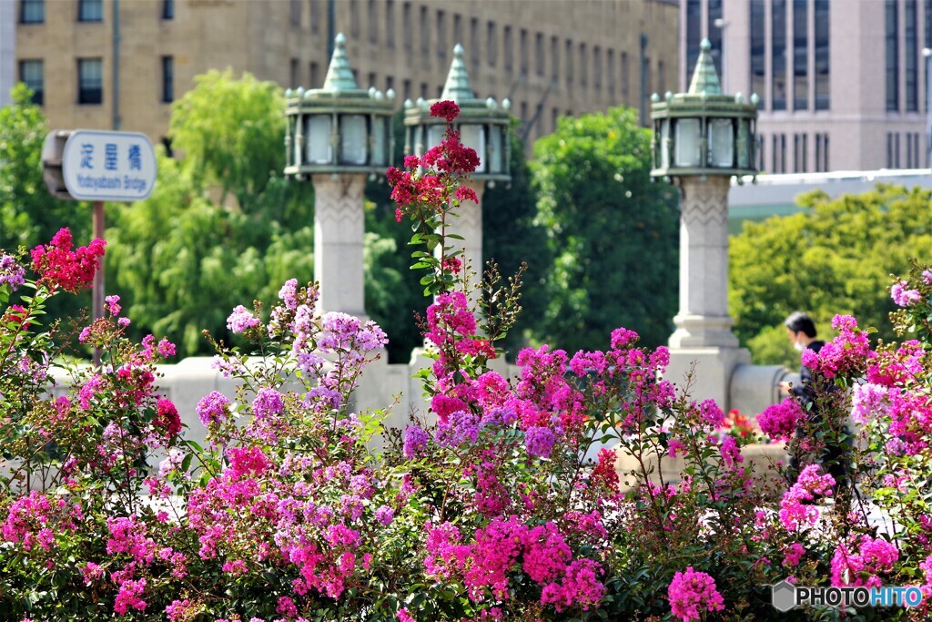 中央区散歩5(大阪)