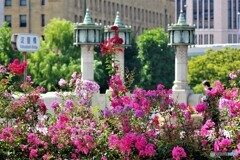 中央区散歩5(大阪)