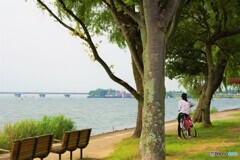 大津散歩6(滋賀)