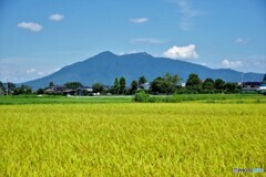 つくば散歩①(茨城)