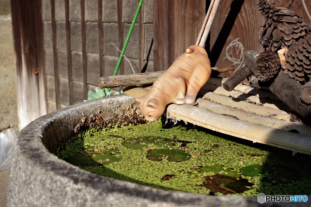 貝塚散歩2(大阪)