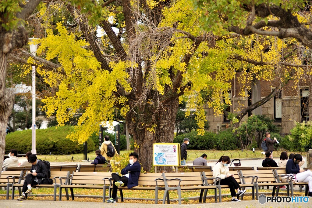 中央区散歩8(大阪)