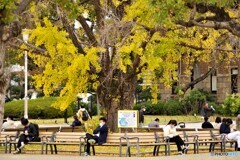 中央区散歩8(大阪)