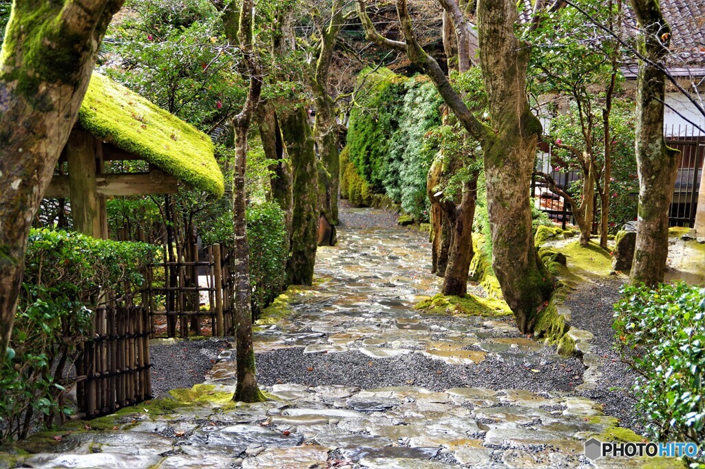 左京区散歩15(京都)