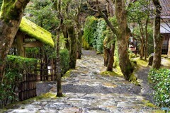 左京区散歩15(京都)