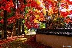 有田川町散歩6(和歌山)