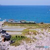 小浜散歩7(福井)