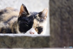 天王寺区散歩③(大阪)