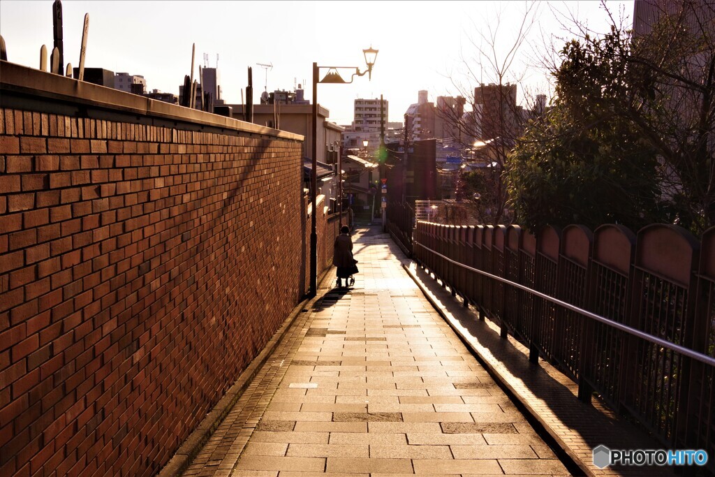 荒川区散歩②(東京)
