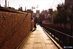 荒川区散歩②(東京)