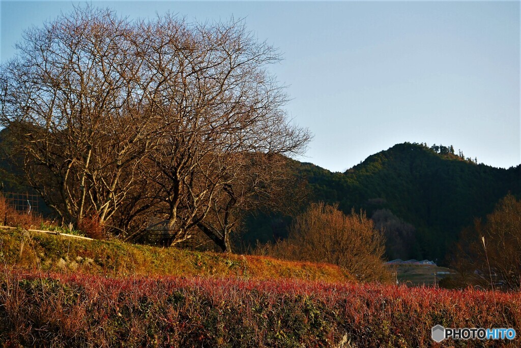 明日香村散歩1(奈良)