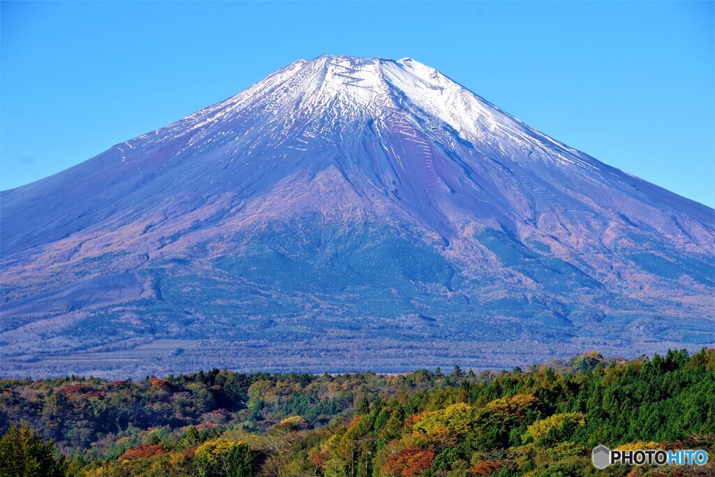 山中湖散歩①(山梨)
