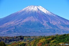 山中湖散歩①(山梨)