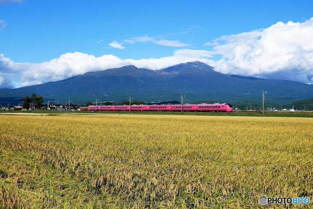 酒田散歩2(山形) 