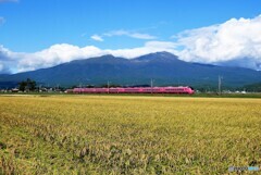 酒田散歩2(山形) 