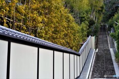 東山区散歩2(京都)