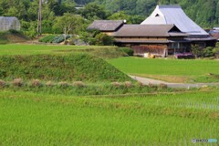 かつらぎ町散歩1(和歌山)