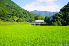 美杉町散歩5(三重)