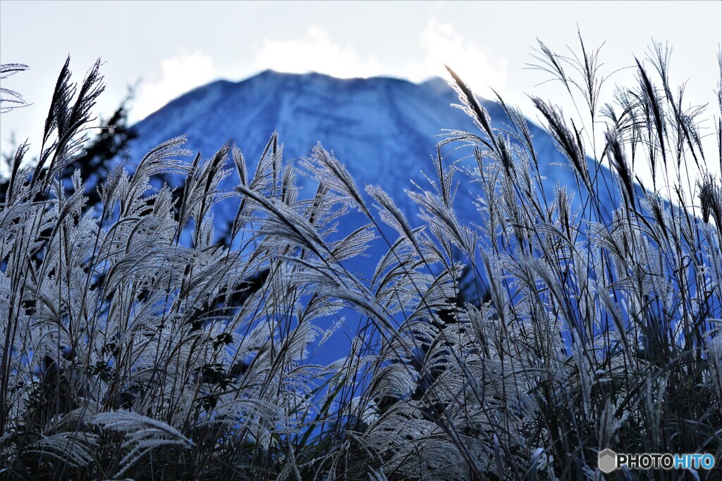 山中湖散歩②(山梨)