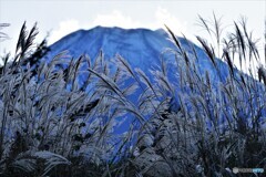 山中湖散歩②(山梨)