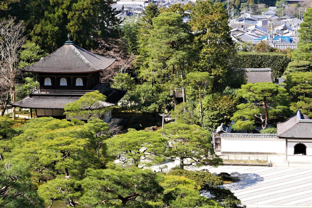 左京区散歩1(京都)