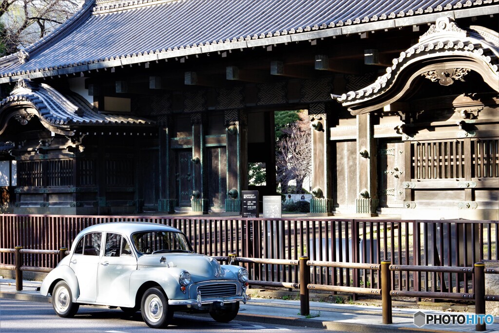 台東区散歩3(東京)