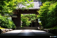 左京区散歩16(京都)