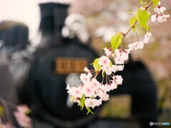 喜多方散歩14(福島)