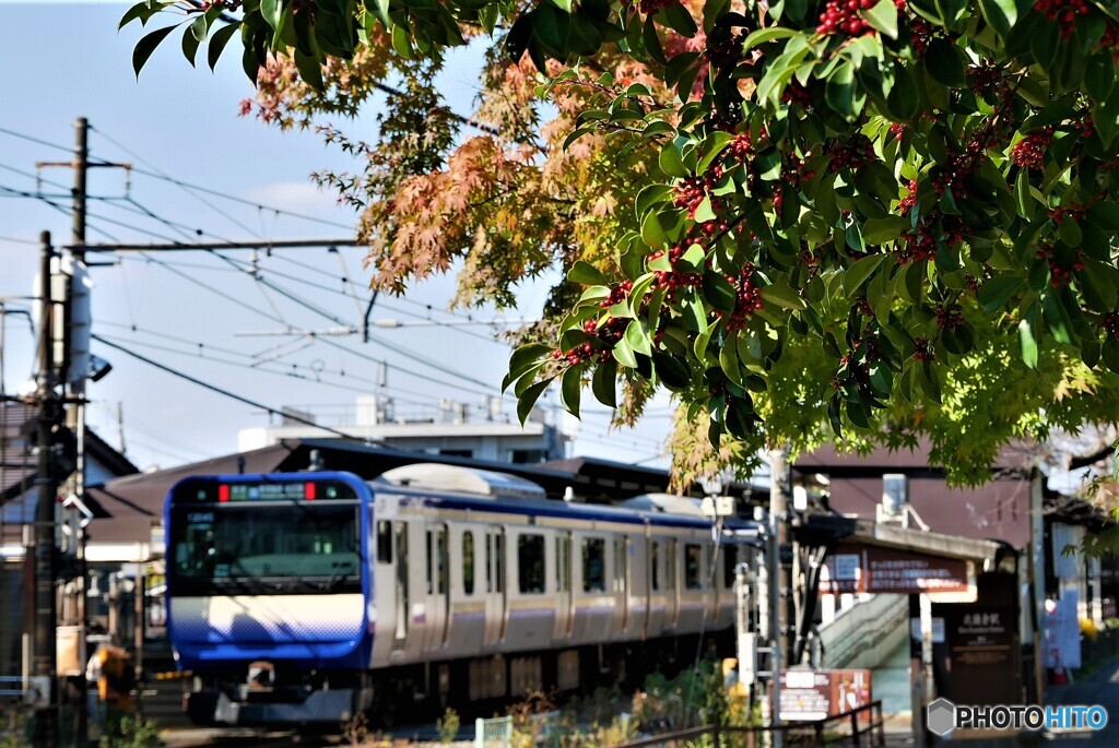 鎌倉散歩4(神奈川)