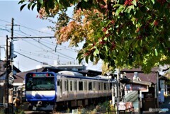 鎌倉散歩4(神奈川)