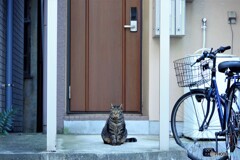 北区散歩9(東京)