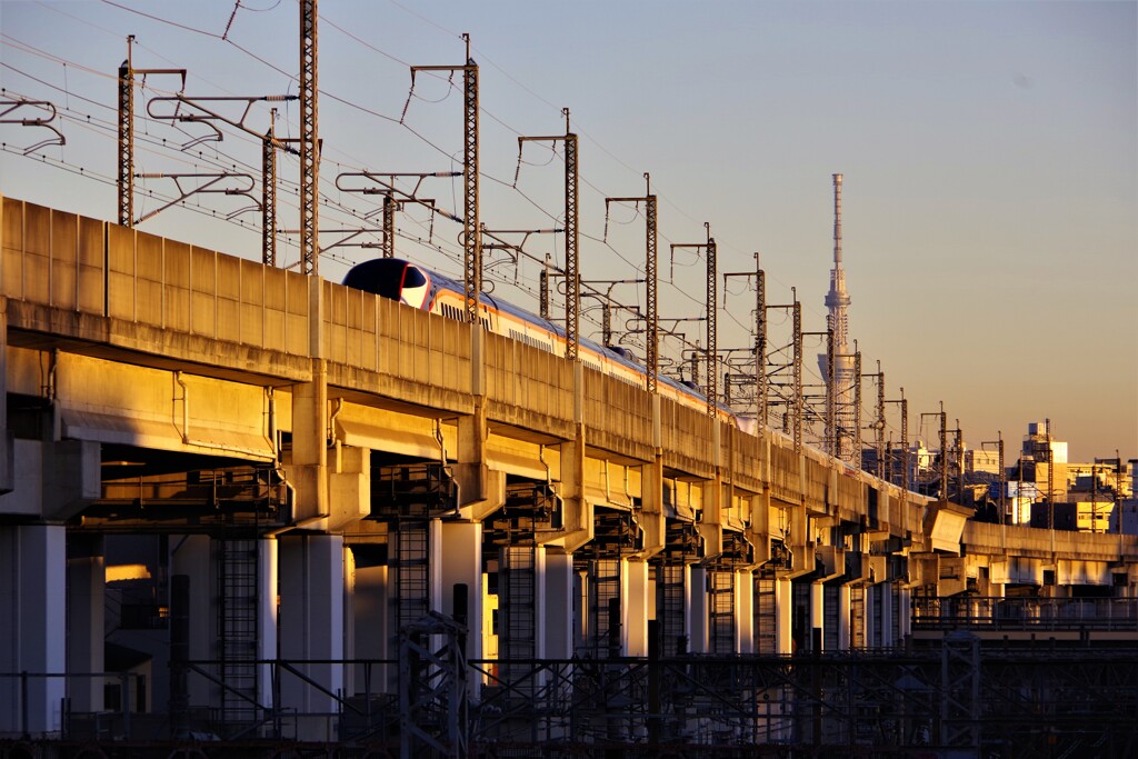 北区散歩⑥(東京)