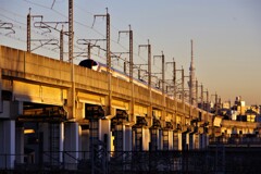 北区散歩⑥(東京)