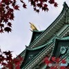 名古屋散歩2(愛知)