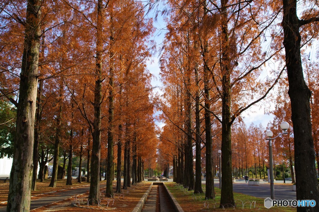 鶴見区散歩③(大阪)