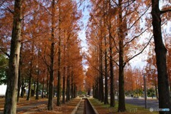 鶴見区散歩③(大阪)