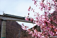 日光散歩7(栃木)