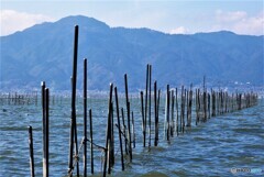 草津散歩②(滋賀)