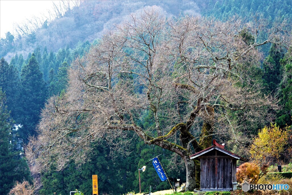 みなかみ町散歩2(群馬)