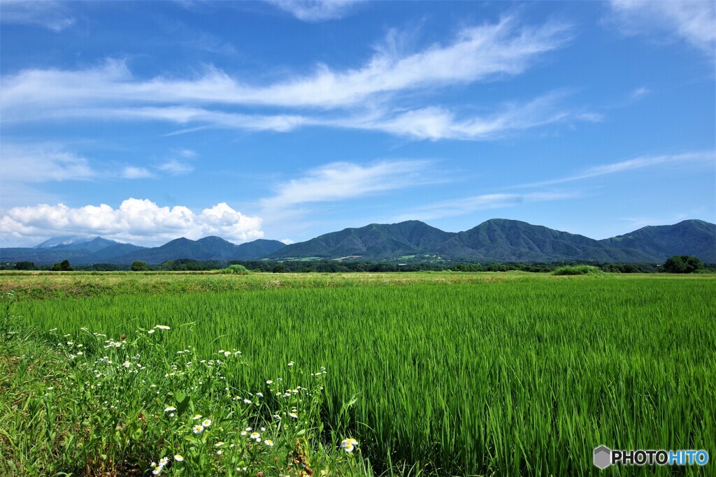 蒜山散歩①(岡山)