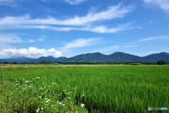 蒜山散歩①(岡山)