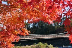 駒ヶ根散歩2(長野)