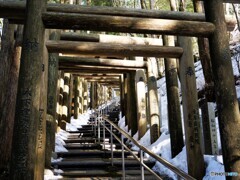 野迫川村散歩1(奈良)