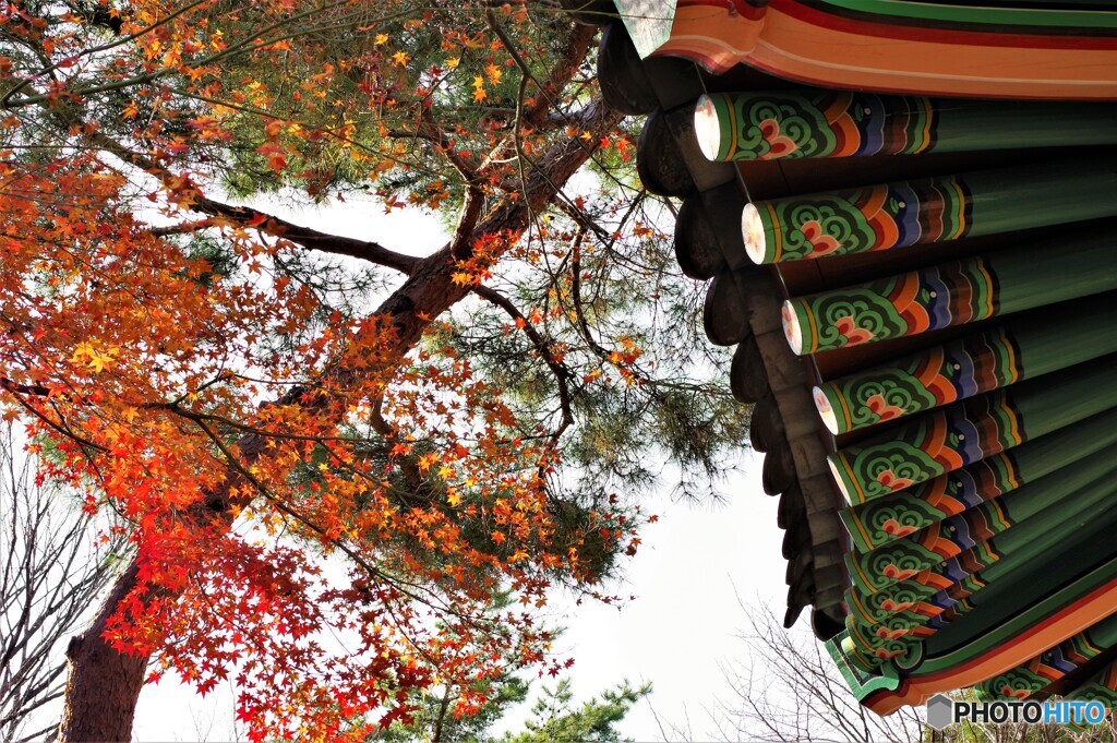 鶴見区散歩1(大阪)