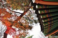 鶴見区散歩1(大阪)