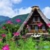 南砺散歩2(富山)