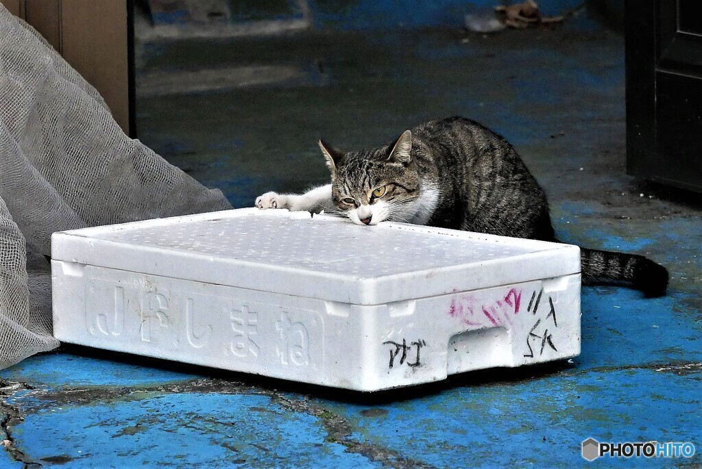 北区散歩⑦(東京)