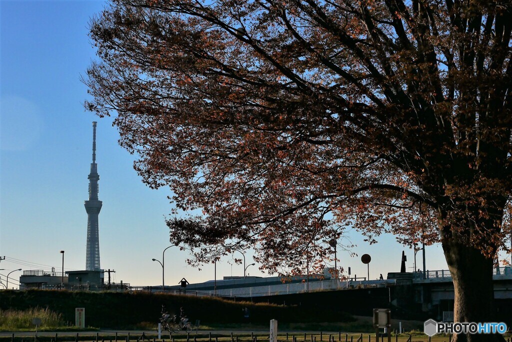 江戸川区散歩1(東京) 