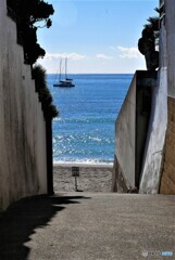 葉山町散歩4(神奈川)