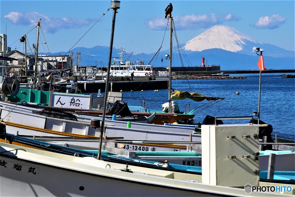 三浦散歩3(神奈川)